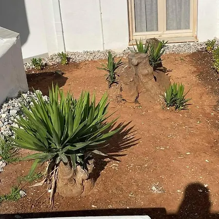 Ξενοδοχείο Coralli Kokkini Hani